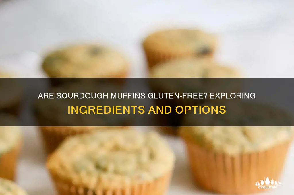are sourdough muffins gluten free
