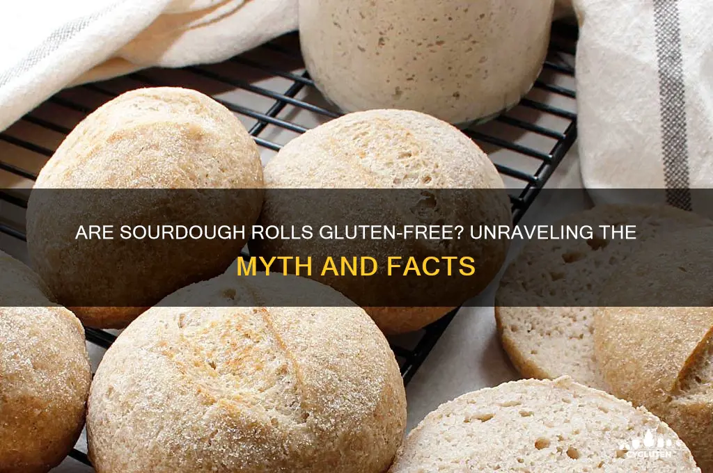 are sourdough rolls gluten free