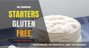 Can Sourdough Starters Be Gluten-Free? Facts and Insights