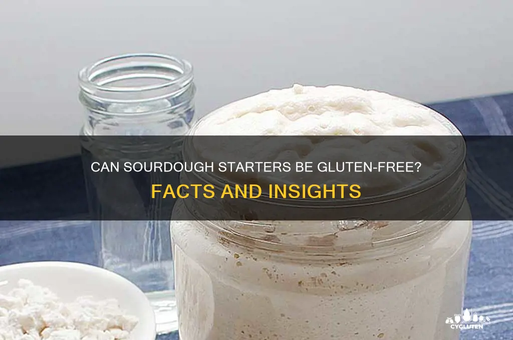 are sourdough starters gluten free