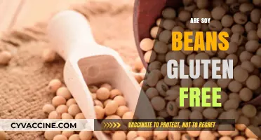 Are Soy Beans Gluten Free? A Comprehensive Guide to Soy Safety