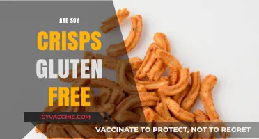 Are Soy Crisps Gluten-Free? A Crunchy Snack Fact Check