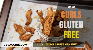 Are Soy Curls Gluten-Free? A Complete Guide for Celiac Diets