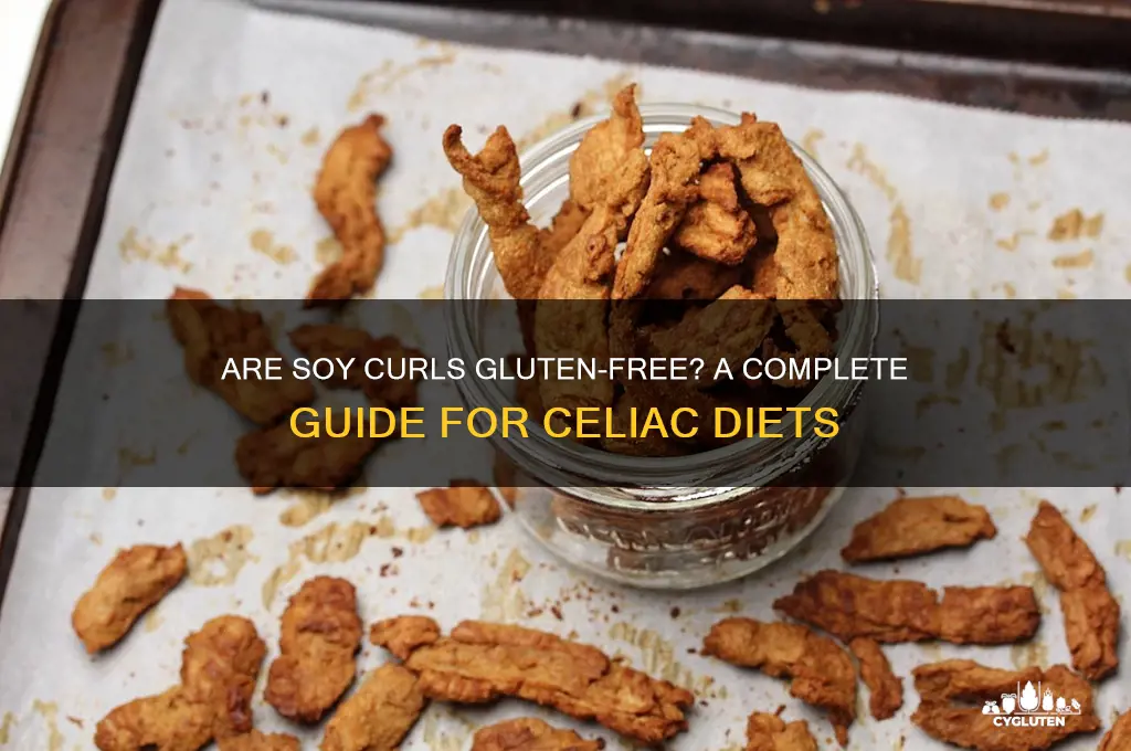 are soy curls gluten free