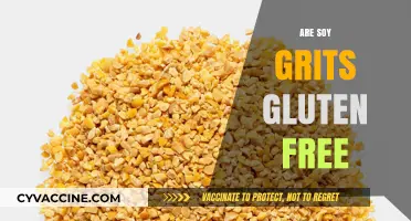 Are Soy Grits Gluten-Free? A Comprehensive Guide for Dietary Needs