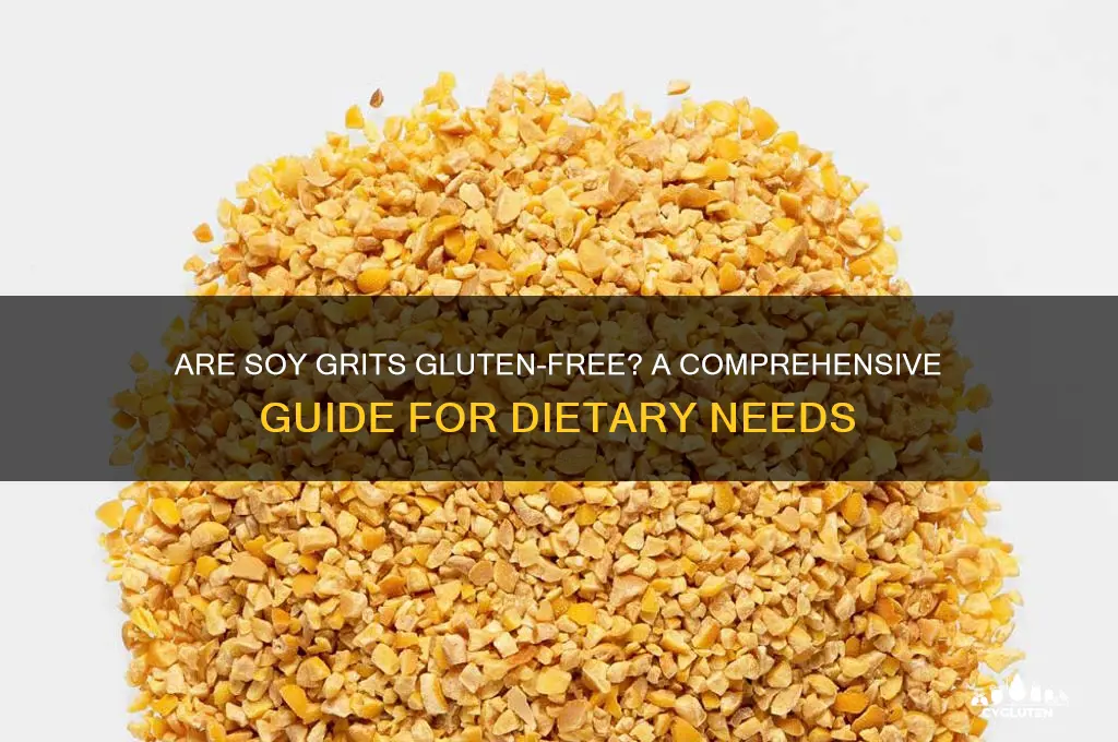 are soy grits gluten free