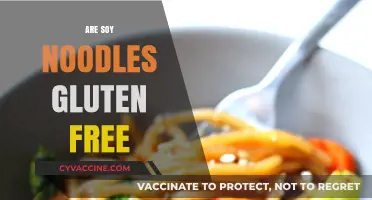 Are Soy Noodles Gluten-Free? A Comprehensive Guide for Celiacs