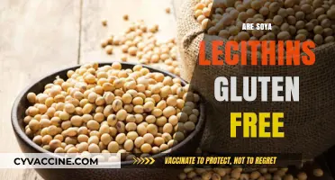 Are Soya Lecithins Gluten Free? A Comprehensive Guide for Dieters