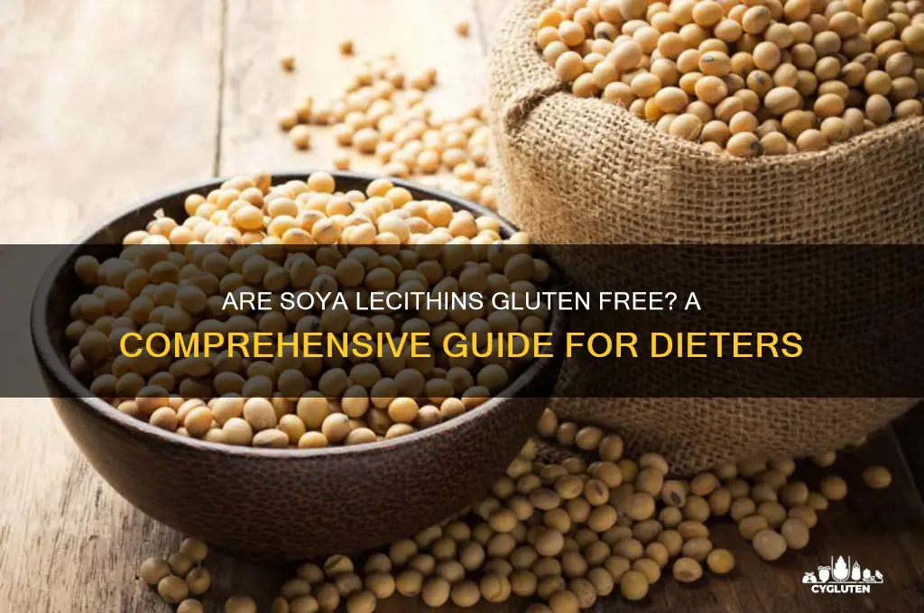 are soya lecithins gluten free
