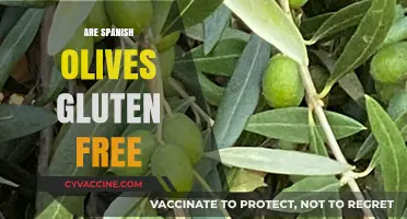 Are Spanish Olives Gluten-Free? A Comprehensive Guide for Celiacs