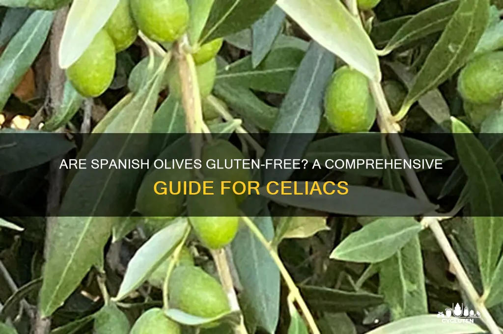 are spanish olives gluten free