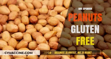 Are Spanish Peanuts Gluten-Free? A Nutritional Guide for Celiacs