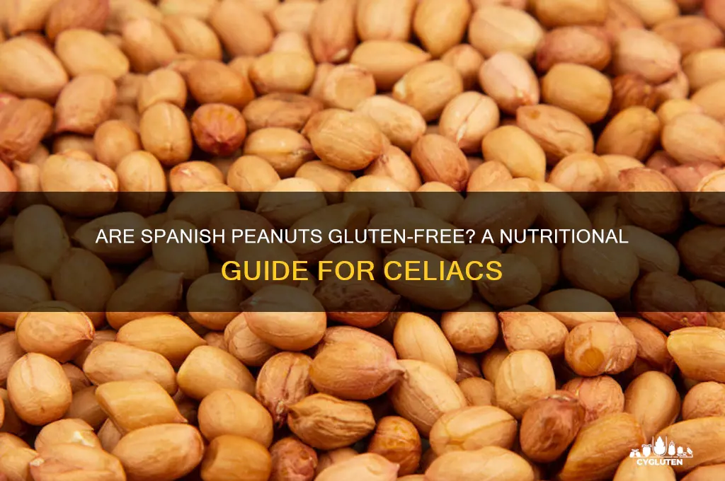 are spanish peanuts gluten free