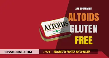 Are Spearmint Altoids Gluten-Free? A Comprehensive Guide for Celiacs