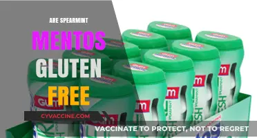 Are Spearmint Mentos Gluten-Free? A Comprehensive Guide for Celiacs