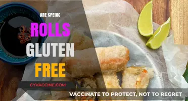 Are Spring Rolls Gluten-Free? A Complete Guide to Ingredients