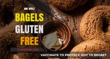 Are Spelt Bagels Gluten-Free? Unraveling the Truth for Dieters