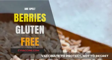Are Spelt Berries Gluten-Free? Unraveling the Truth for Your Diet