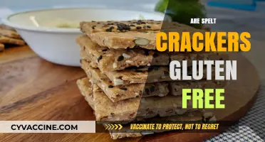 Are Spelt Crackers Gluten-Free? Unraveling the Truth for Your Diet
