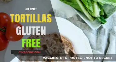 Are Spelt Tortillas Gluten-Free? Unraveling the Truth for Dieters