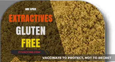 Are Spice Extractives Gluten-Free? A Comprehensive Guide for Foodies