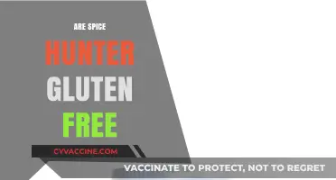Spice Hunter Products: Are They Gluten-Free and Safe for Celiacs?