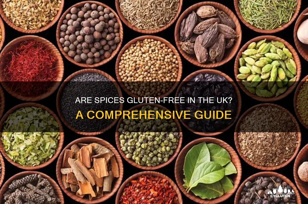 are spices gluten free uk