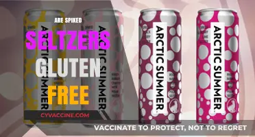Are Spiked Seltzers Gluten-Free? A Complete Guide for Drinkers
