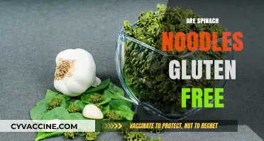 Are Spinach Noodles Gluten-Free? A Clear and Simple Answer