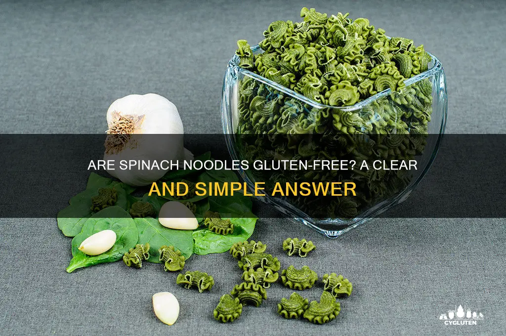 are spinach noodles gluten free