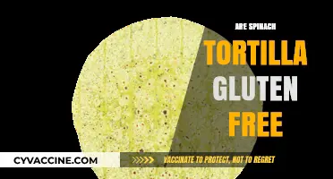 Spinach Tortillas: Gluten-Free Option or Hidden Wheat Concern?