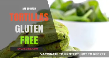 Spinach Tortillas: Are They Gluten-Free? A Complete Guide