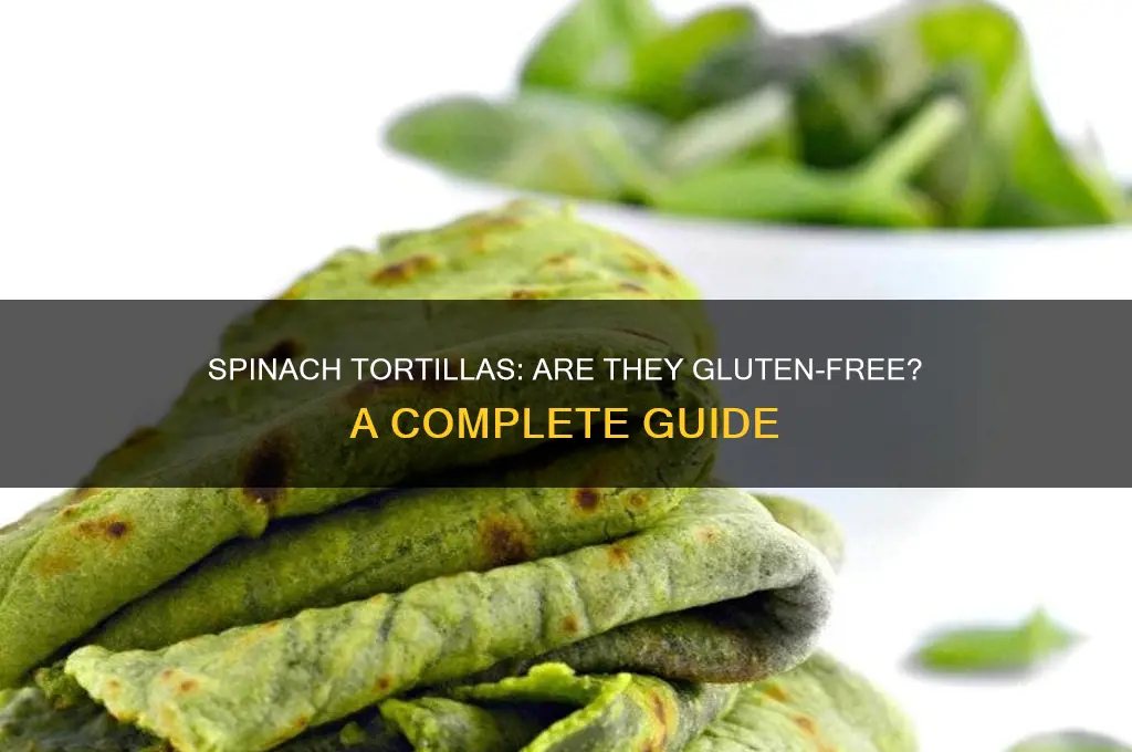 are spinach tortillas gluten free