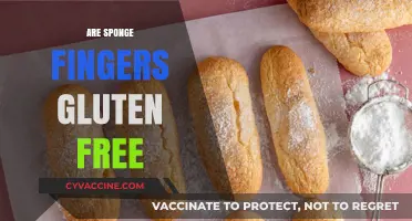 Are Sponge Fingers Gluten-Free? A Comprehensive Guide for Celiacs