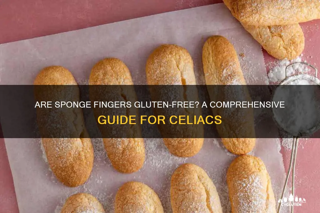 are sponge fingers gluten free