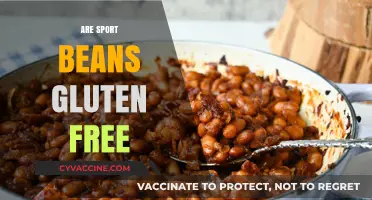Are Sport Beans Gluten-Free? A Complete Guide for Athletes