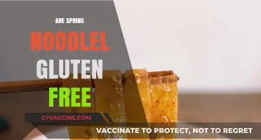 Are Spring Noodles Gluten-Free? A Comprehensive Guide for Celiacs
