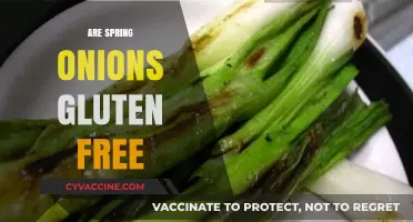 Are Spring Onions Gluten-Free? A Complete Guide for Celiac Diets
