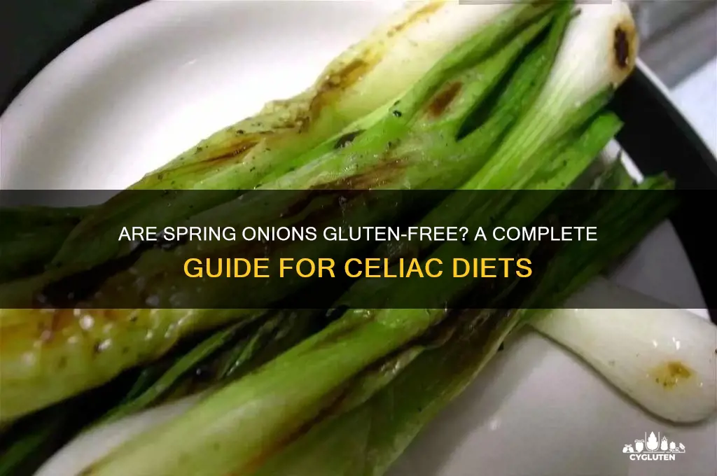 are spring onions gluten free