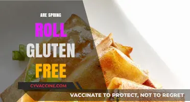 Are Spring Rolls Gluten-Free? A Complete Guide to Ingredients and Options