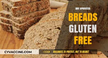 Are Sprouted Breads Gluten-Free? Unraveling the Truth for Health-Conscious Eaters