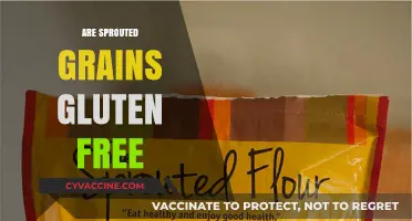 Are Sprouted Grains Gluten-Free? Unlocking Nutritional Benefits and Facts