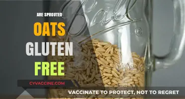 Are Sprouted Oats Gluten-Free? A Complete Guide for Celiacs