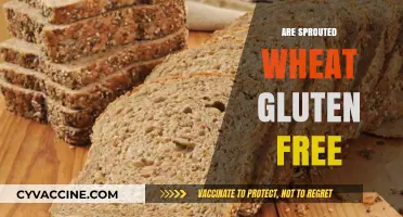Is Sprouted Wheat Gluten-Free? Unraveling the Truth for Your Diet
