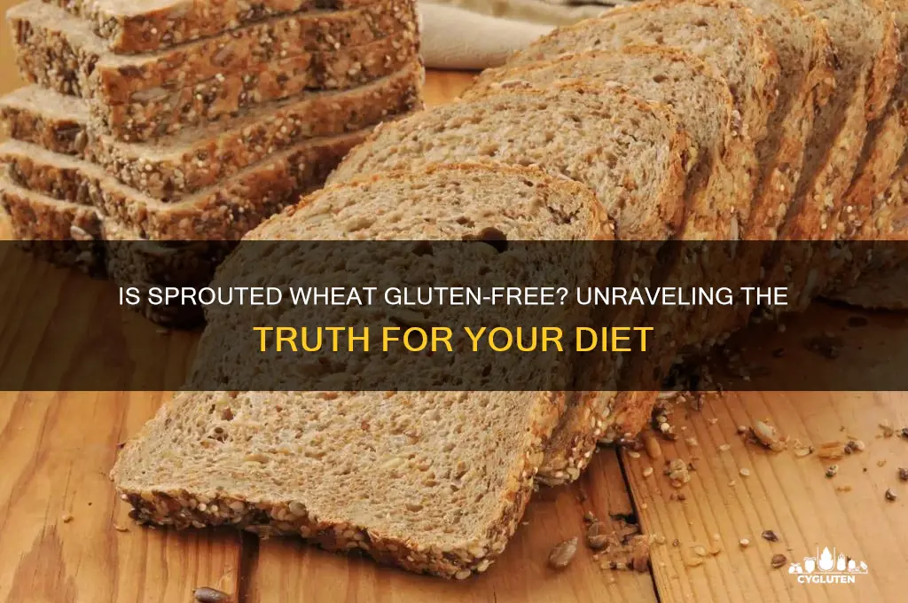 are sprouted wheat gluten free