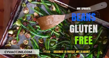 Are Sprouts Beans Gluten-Free? A Comprehensive Guide to Safe Eating