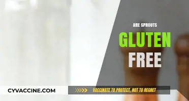 Are Sprouts Gluten-Free? A Comprehensive Guide to Sprout Safety