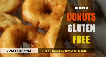 Are Spudnut Donuts Gluten-Free? A Tasty Dietary Dilemma Explored