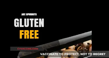 Are Spudnuts Gluten-Free? Discover the Truth About Potato Doughnuts