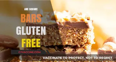 Are Square Bars Gluten-Free? A Comprehensive Guide to Ingredients
